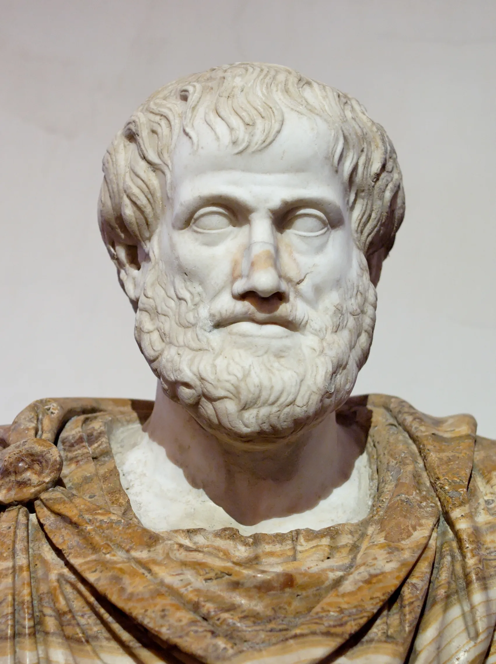 Busto de mármol de Aristóteles, con barba corta y manto sobre los hombros.